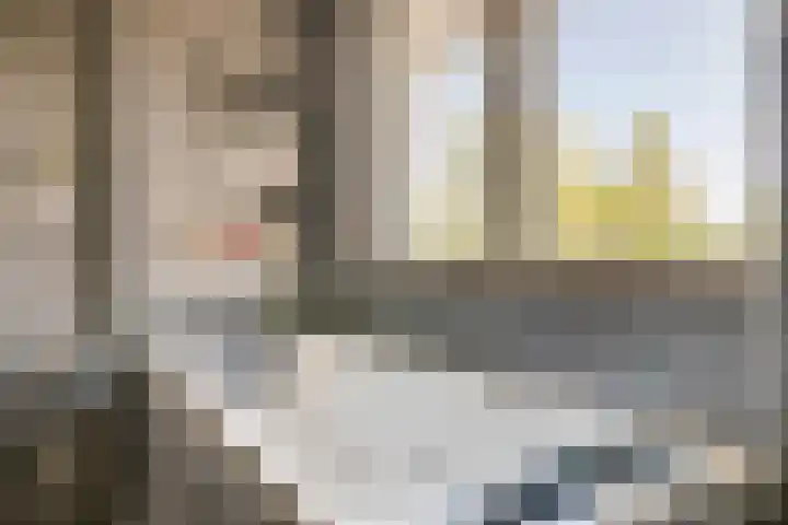 Roelantlaan 14 Eindhoven thumbnail 43
