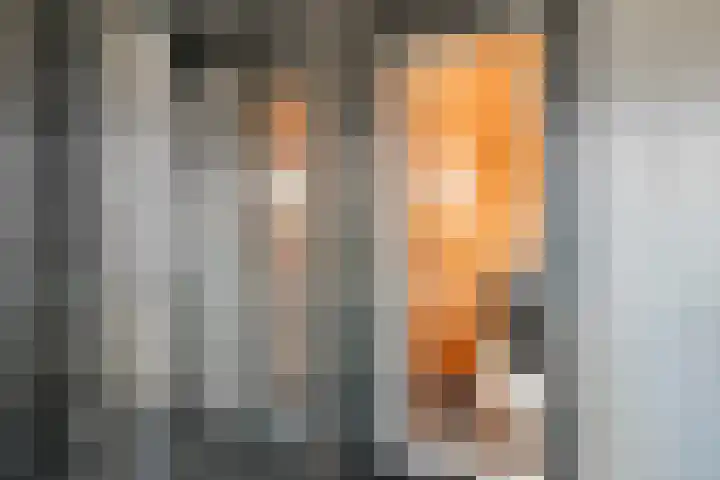 Roelantlaan 14 Eindhoven thumbnail 44