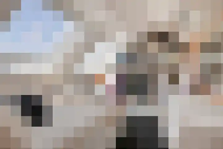 Roelantlaan 14 Eindhoven thumbnail 47