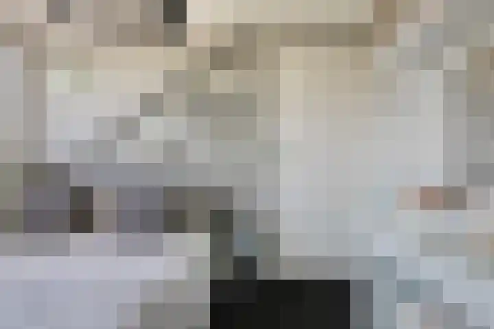 Roelantlaan 14 Eindhoven thumbnail 50