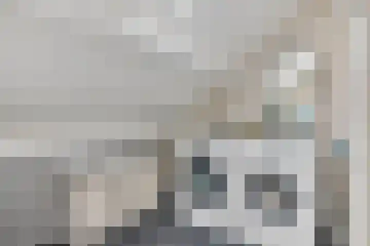 Roelantlaan 14 Eindhoven thumbnail 51