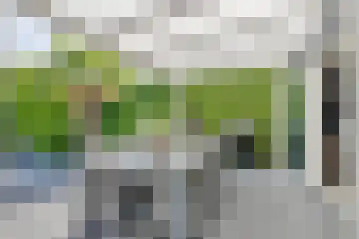 Roelantlaan 14 Eindhoven thumbnail 53