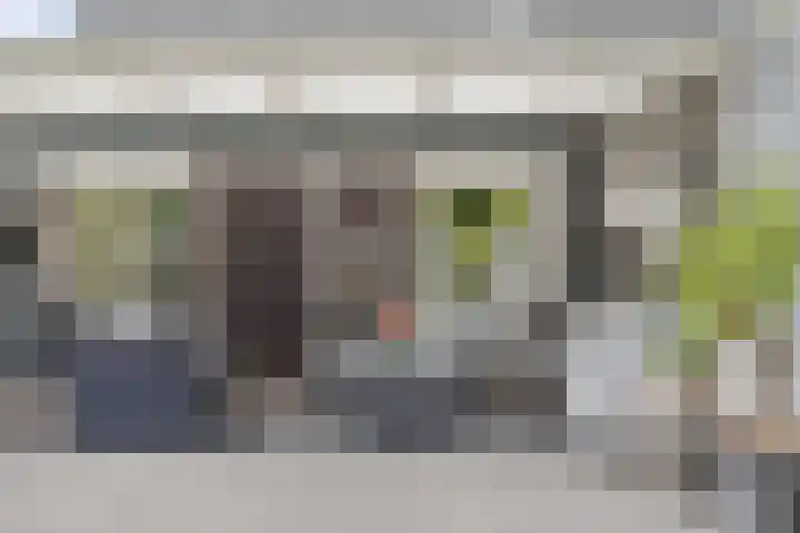 Roelantlaan 14 Eindhoven thumbnail 54
