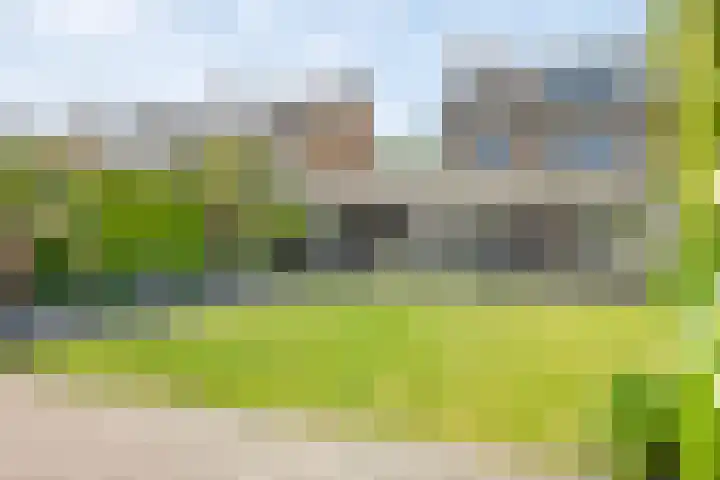 Roelantlaan 14 Eindhoven thumbnail 56