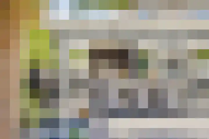 Roelantlaan 14 Eindhoven thumbnail 57