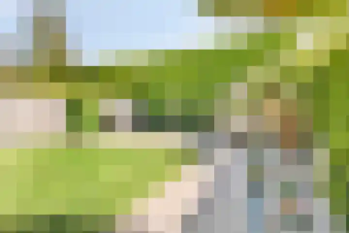 Roelantlaan 14 Eindhoven thumbnail 58
