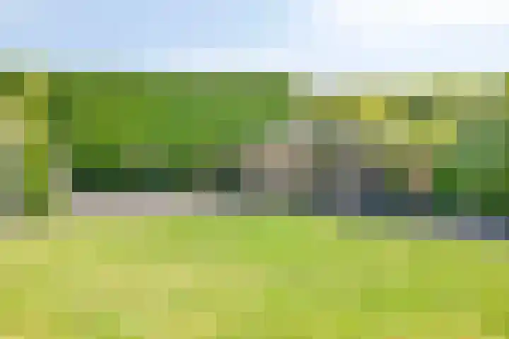 Roelantlaan 14 Eindhoven thumbnail 59