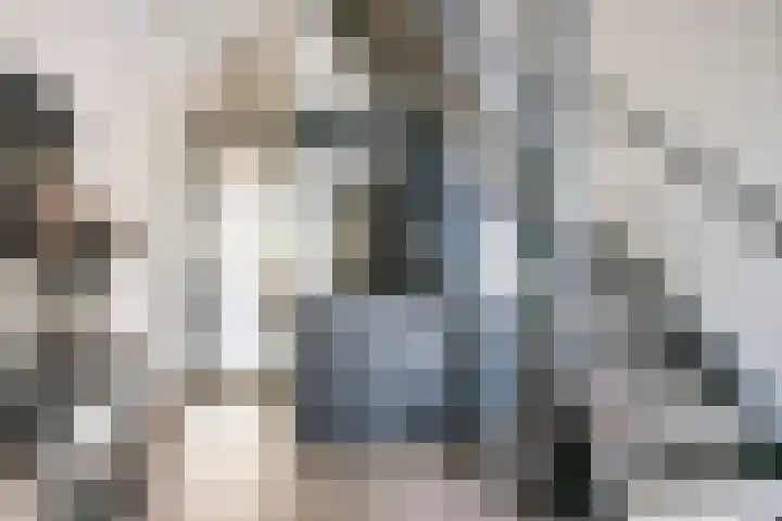 Roelantlaan 14 Eindhoven thumbnail 7