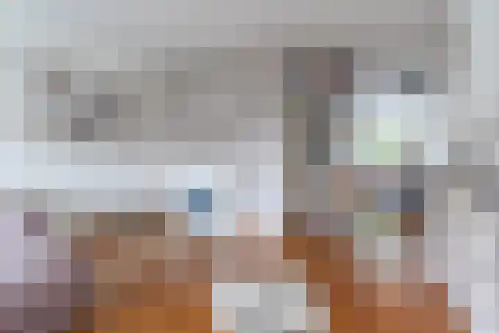 Roelantlaan 212 Geldrop thumbnail 14