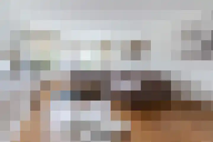 Roelantlaan 212 Geldrop thumbnail 15