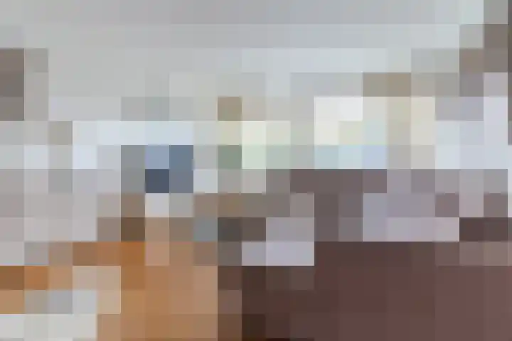 Roelantlaan 212 Geldrop thumbnail 16