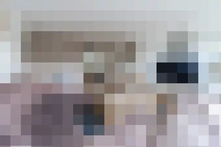 Roelantlaan 212 Geldrop thumbnail 18