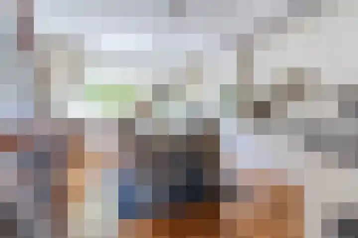 Roelantlaan 212 Geldrop thumbnail 19