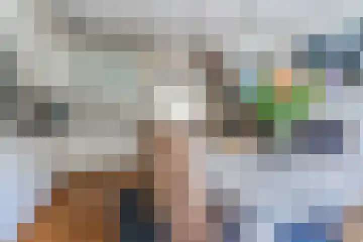 Roelantlaan 212 Geldrop thumbnail 21