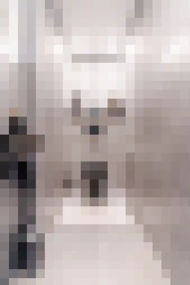 Roelantlaan 212 Geldrop thumbnail 23