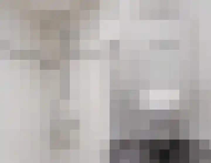 Roelantlaan 212 Geldrop thumbnail 25