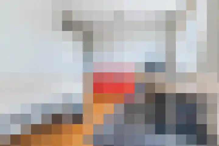 Roelantlaan 212 Geldrop thumbnail 28