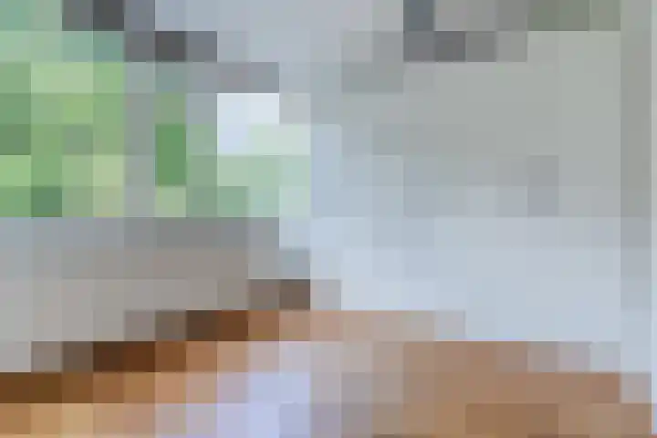Roelantlaan 212 Geldrop thumbnail 29