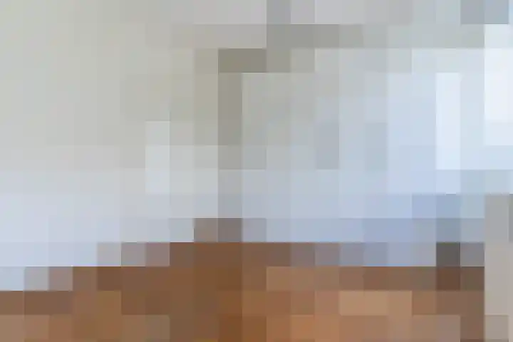 Roelantlaan 212 Geldrop thumbnail 30