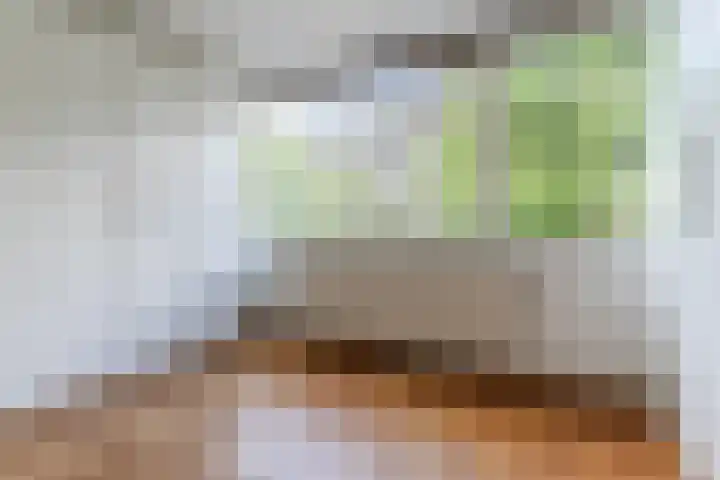 Roelantlaan 212 Geldrop thumbnail 31