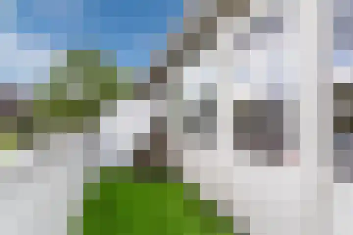 Roelantlaan 212 Geldrop thumbnail 35