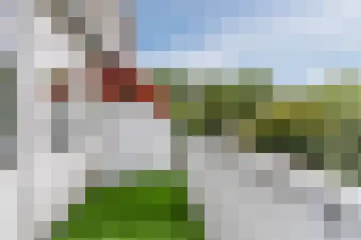 Roelantlaan 212 Geldrop thumbnail 36