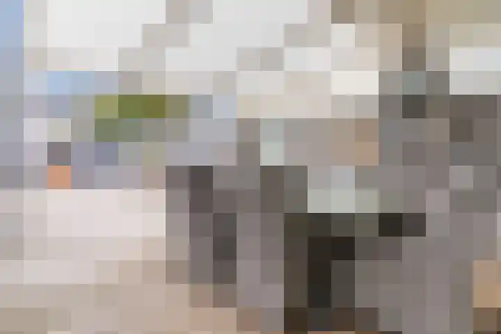 Roelantlaan 212 Geldrop thumbnail 38