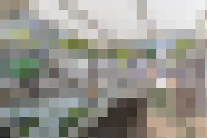Roelantlaan 212 Geldrop thumbnail 39