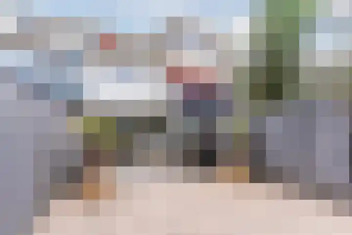 Roelantlaan 212 Geldrop thumbnail 4