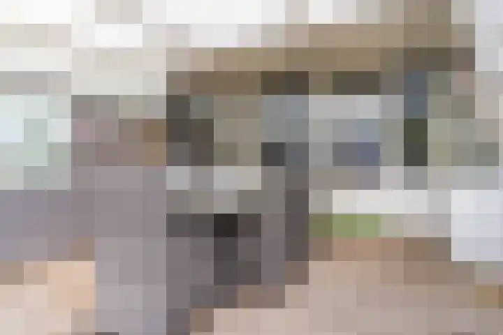 Roelantlaan 212 Geldrop thumbnail 40
