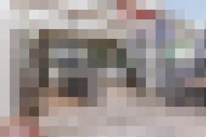 Roelantlaan 212 Geldrop thumbnail 41