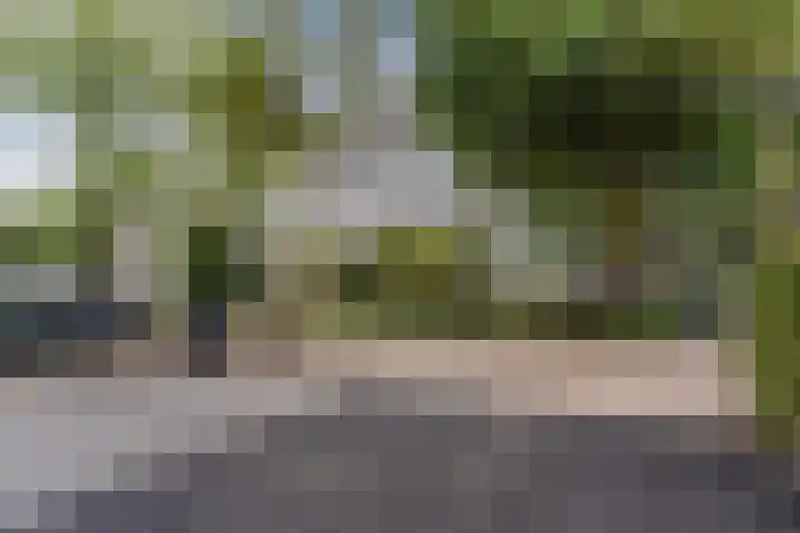 Roelantlaan 212 Geldrop thumbnail 45