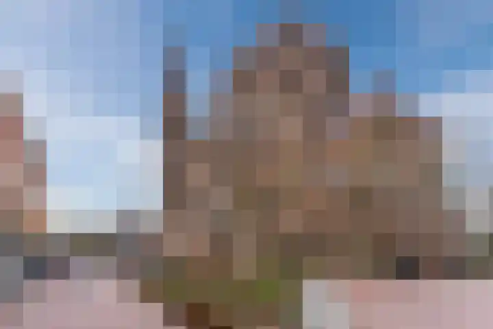 Roelantlaan 212 Geldrop thumbnail 48