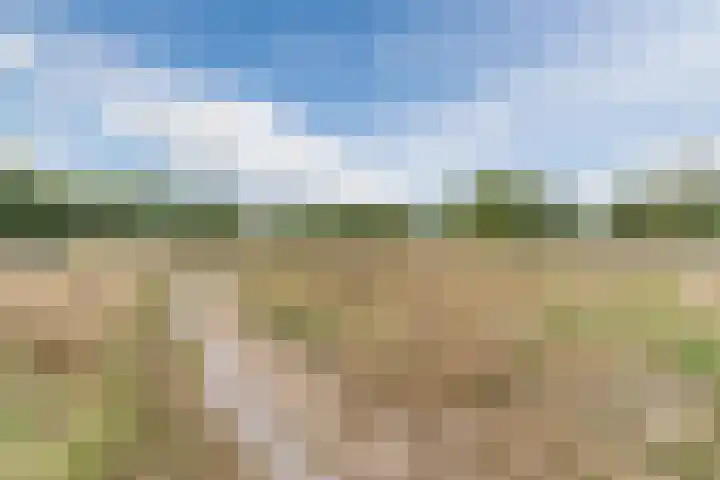 Roelantlaan 212 Geldrop thumbnail 49