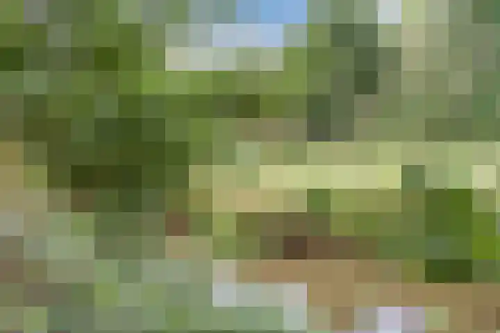 Roelantlaan 212 Geldrop thumbnail 50