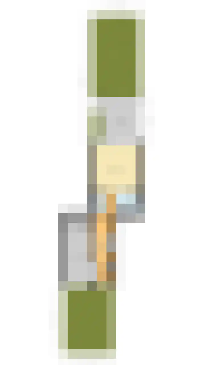 Roelantlaan 212 Geldrop thumbnail 54
