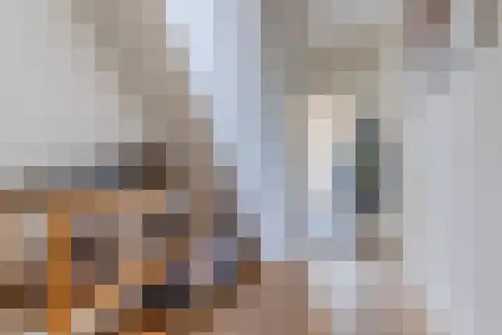 Roelantlaan 212 Geldrop thumbnail 7