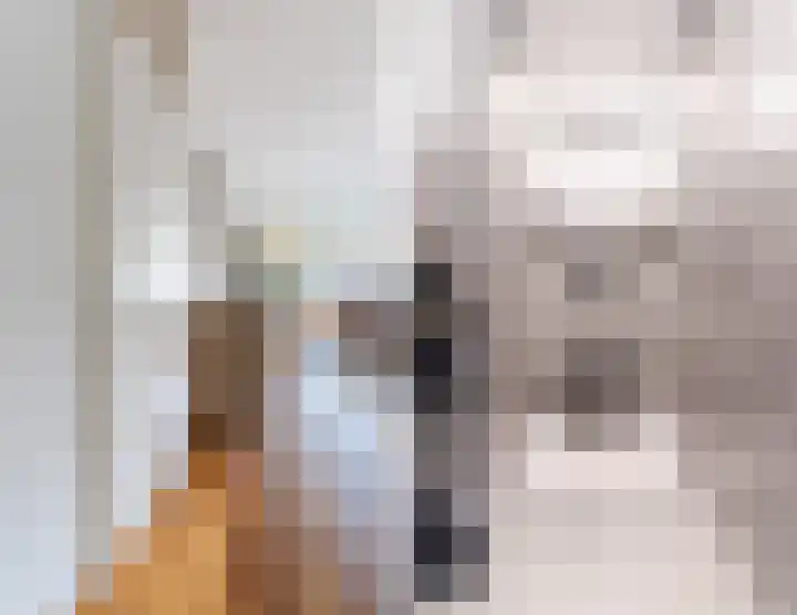 Roelantlaan 212 Geldrop thumbnail 9