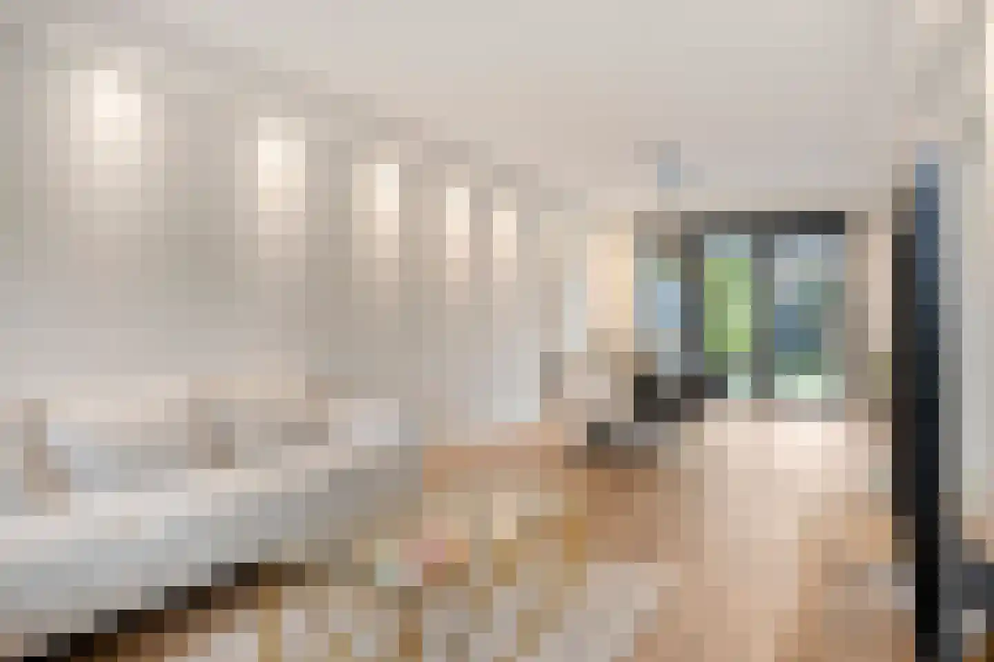 Roelantlaan 26 Eindhoven thumbnail 12
