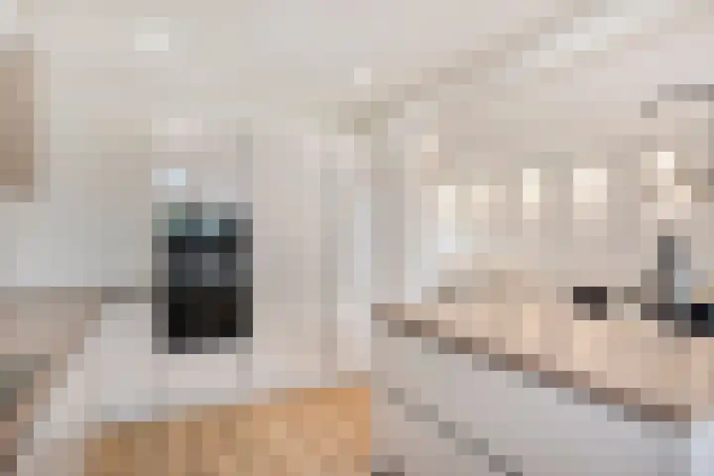 Roelantlaan 26 Eindhoven thumbnail 16
