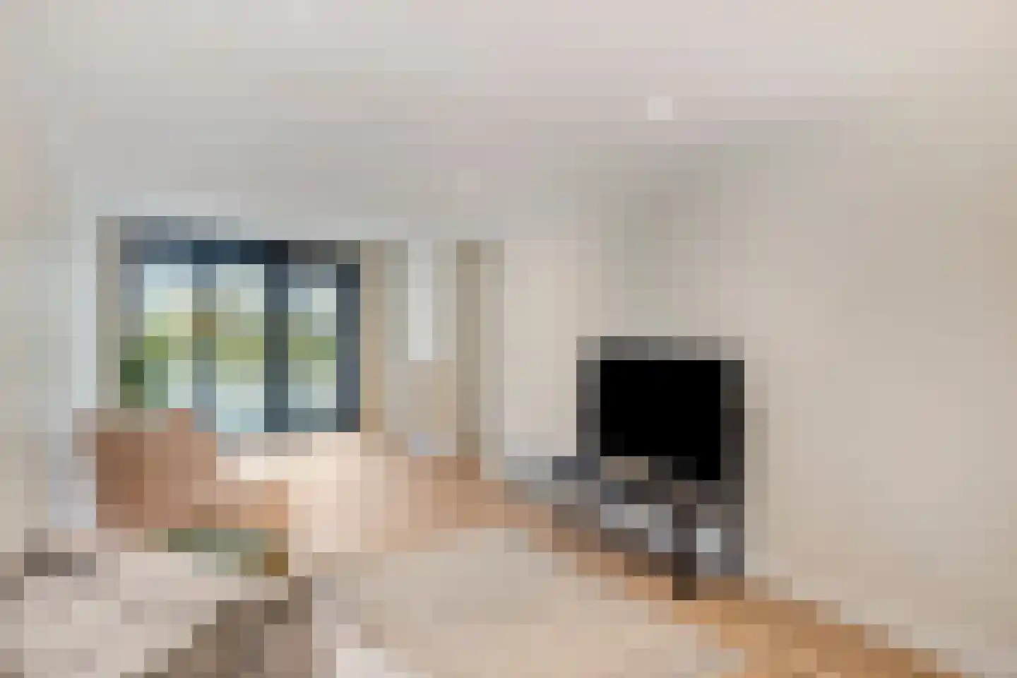 Roelantlaan 26 Eindhoven thumbnail 21