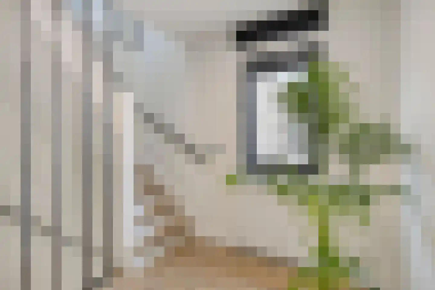Roelantlaan 26 Eindhoven thumbnail 24