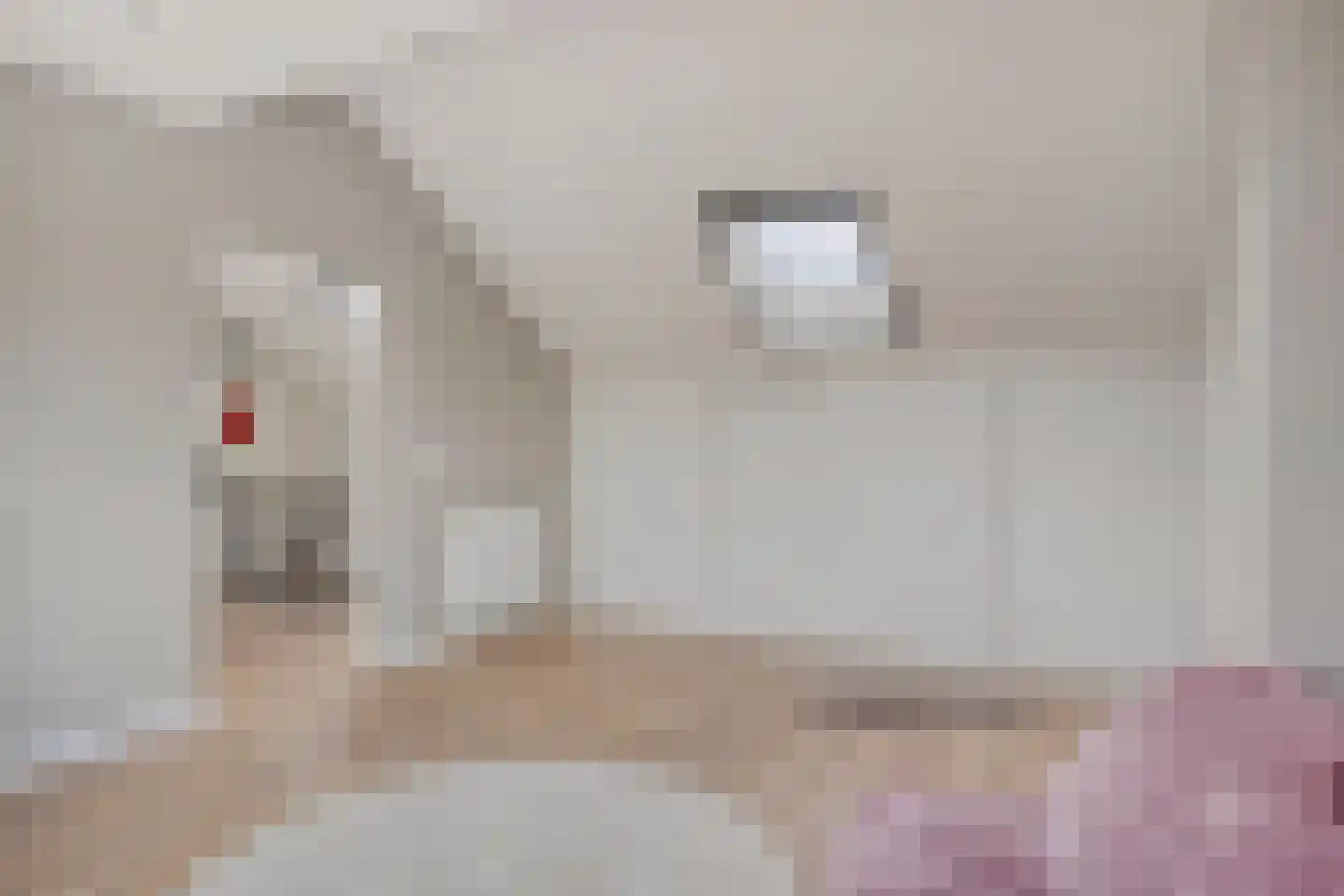 Roelantlaan 26 Eindhoven thumbnail 33