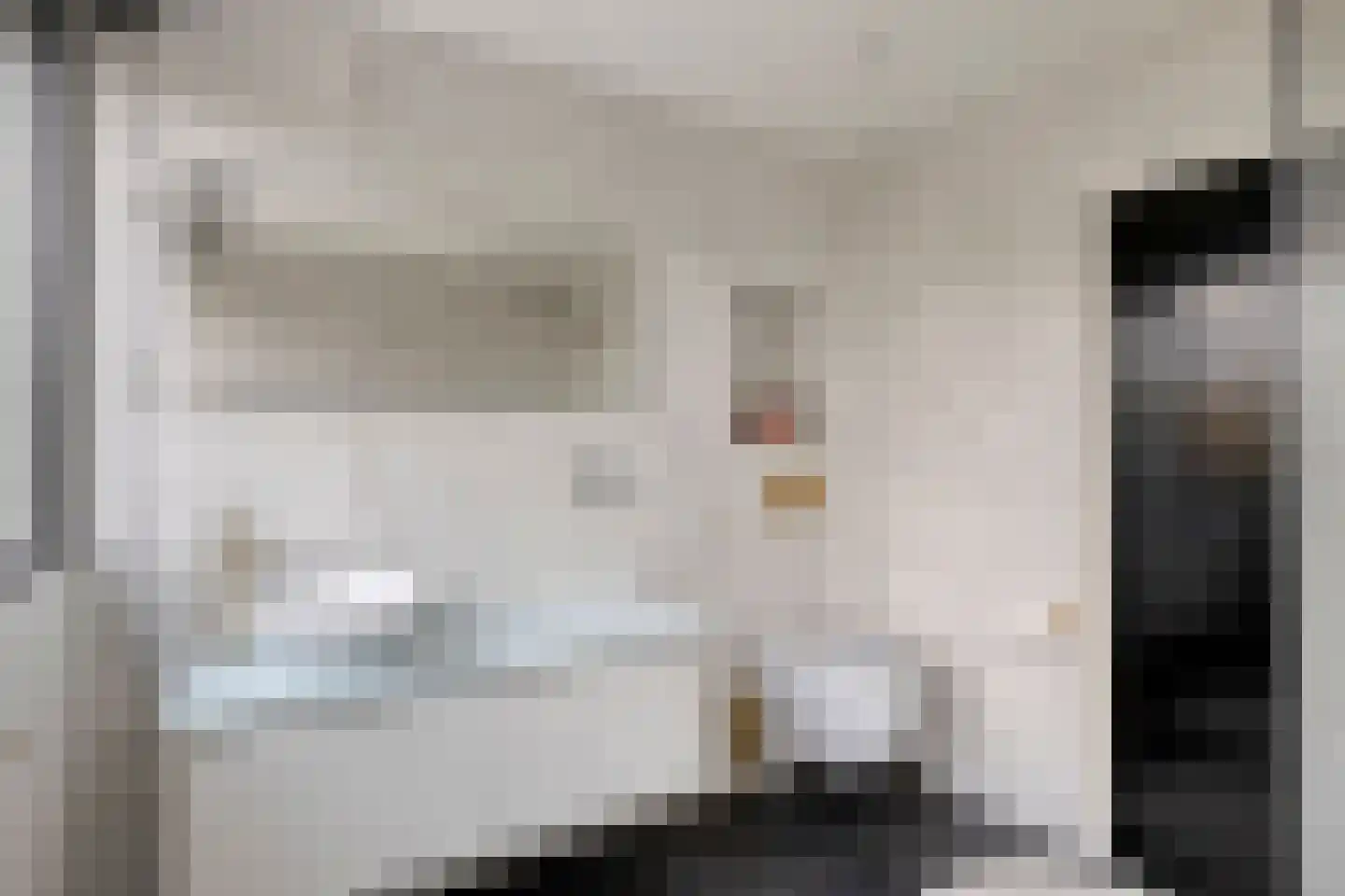 Roelantlaan 26 Eindhoven thumbnail 34