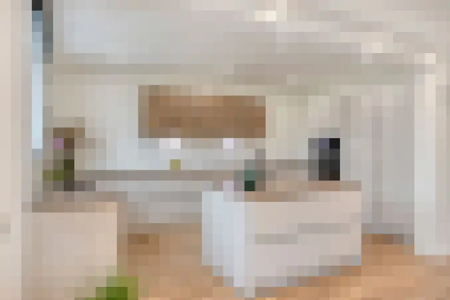 Roelantlaan 26 Eindhoven thumbnail 7