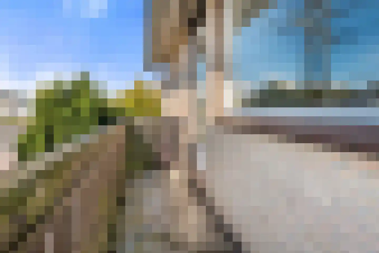Roelantlaan 36 Eindhoven thumbnail 21