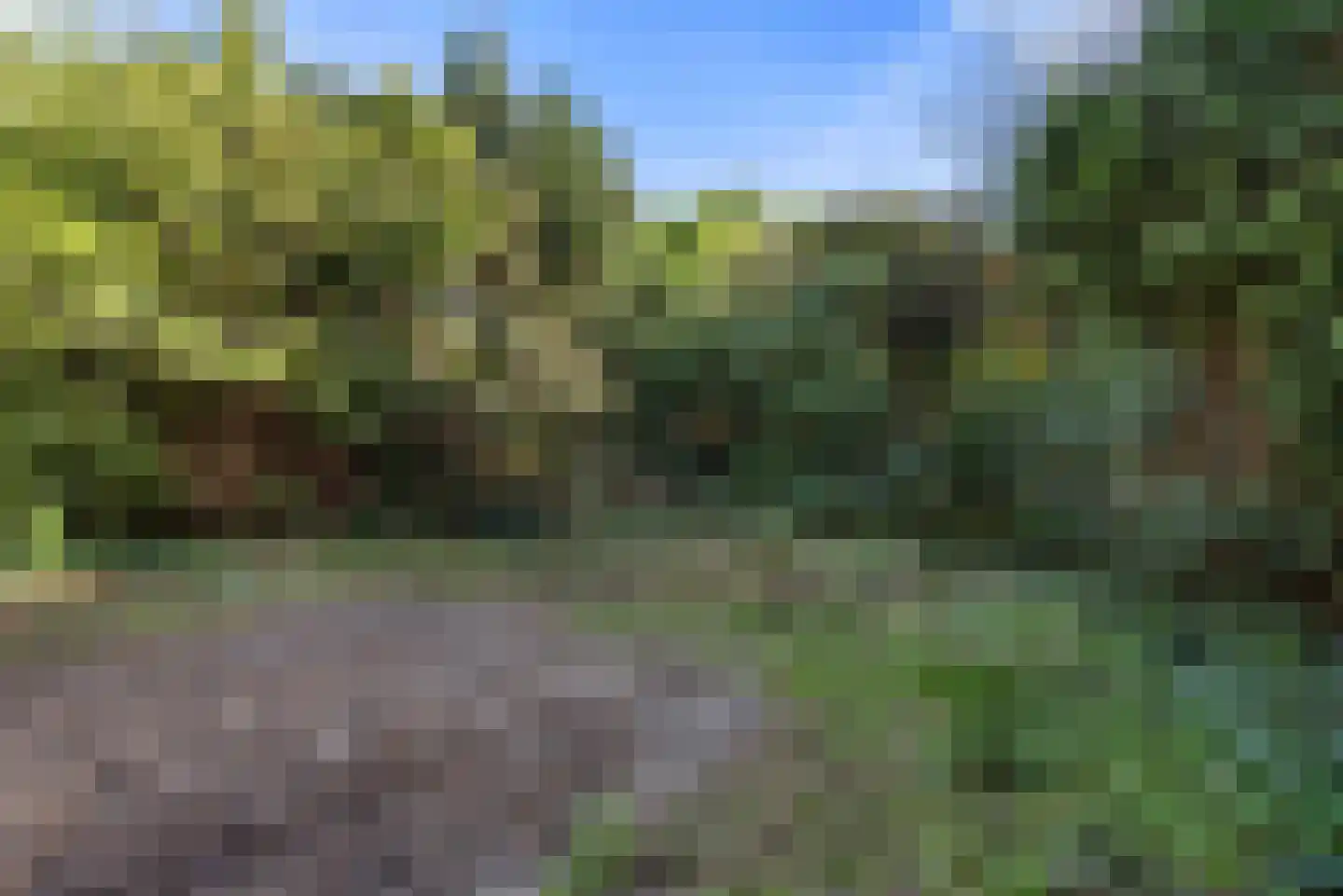 Roelantlaan 36 Eindhoven thumbnail 39