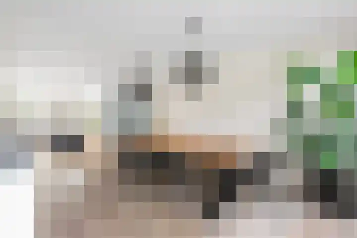 Roelat 46 Limmen thumbnail 10
