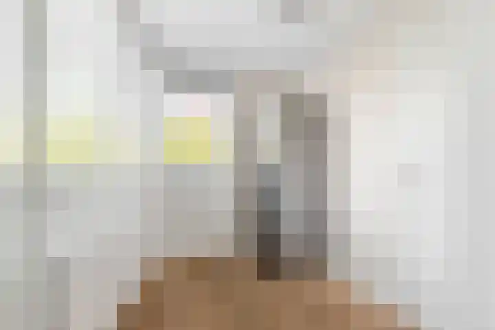 Roelat 46 Limmen thumbnail 14
