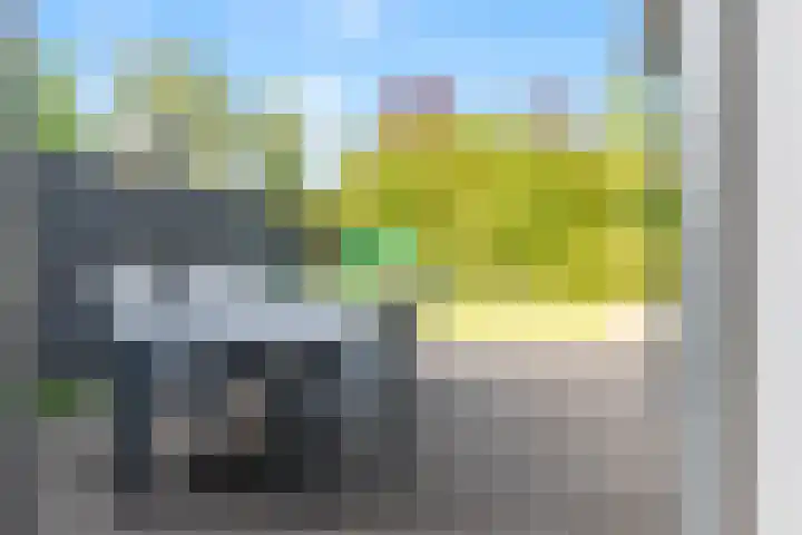 Roelat 46 Limmen thumbnail 16